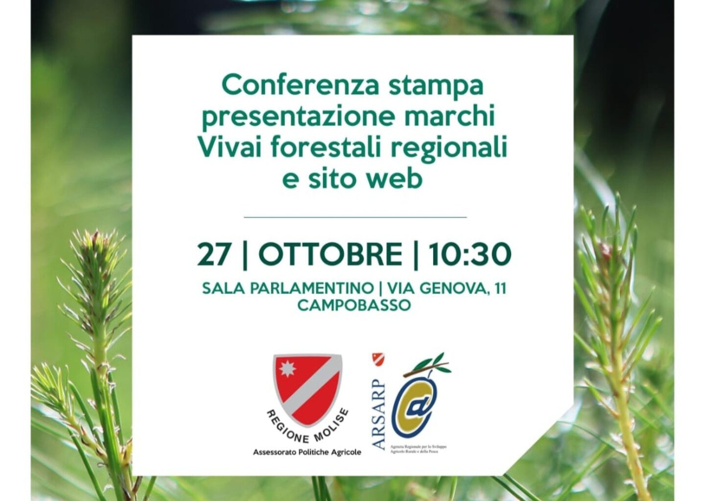 IMPORTANTI NOVITÀ PER LA FILIERA DEL TARTUFO MOLISANO